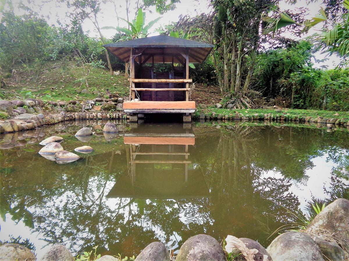 Отель Wisdom Garden Тена Экстерьер фото